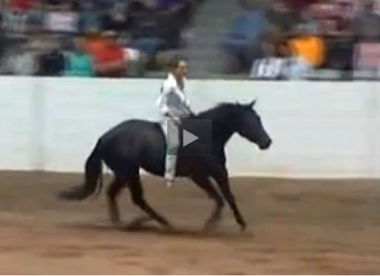 Stacy Westfall’s Championship Ride