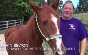 The Near Side: This Week in Horses – October 16, 2015