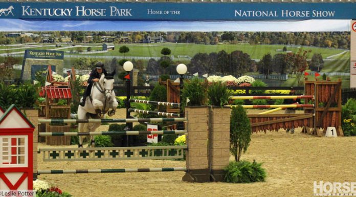 national horse show