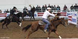 Video: Fieracavalli in Three Minutes