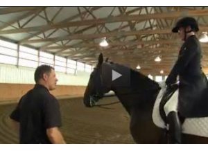 Featured Video: Horse Interview
