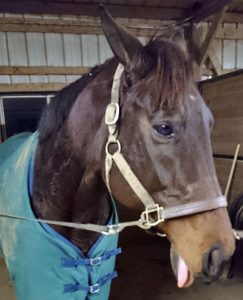 The Near Side: I Had a Great Ride and I Want to Tell You About It