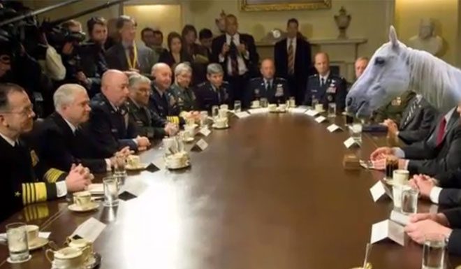 horse attend meeting