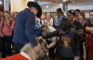 This Week in Horses – December 12, 2014