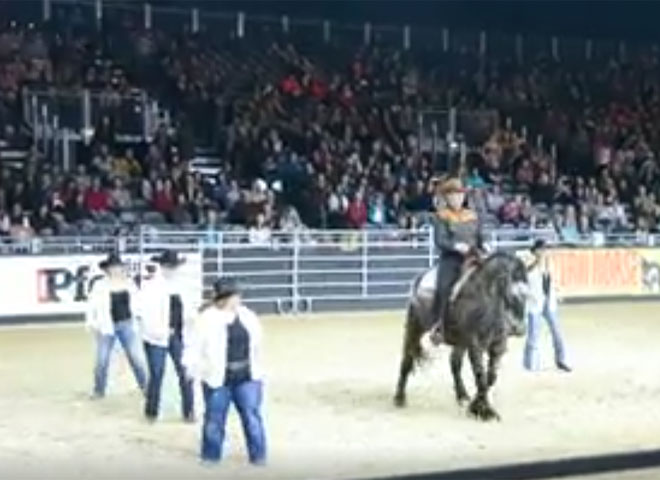 Featured Video: Line-Dancing Horse