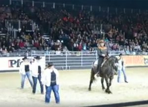 Featured Video: Police Horses Do the Running Man Challenge