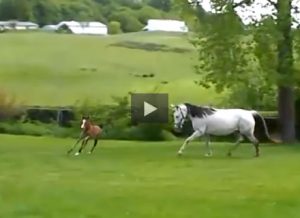 Video of the Week: Learning How to Run