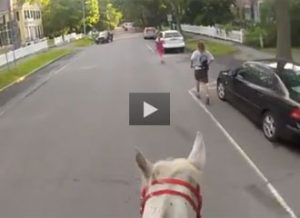 Featured Video: Introduction to Endurance Riding