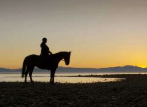 Featured Video: Mountain Riding