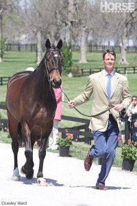 Sixty Horses Set to Compete at the 2014 Rolex Kentucky Three-Day Event
