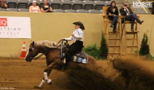 The Paradox of Colorful Horses