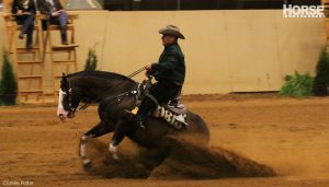 Horses and riders named to the U.S. Reining Squad for the 2014 Alltech FEI World Equestrian Games in Normandy