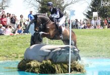 horse jumping