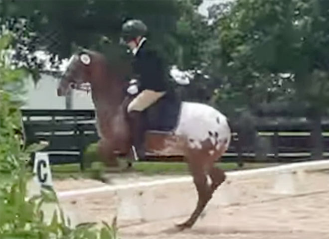 Featured Video: Horse Overcomes Fear of Ditch