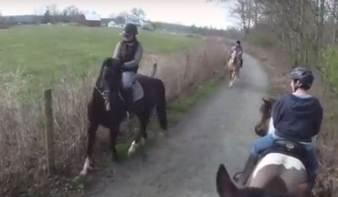 horse riding