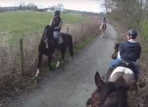 Video of the Week: Scary Ozzie