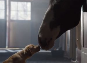 Video of the Week: Horse and Dog Play Tag