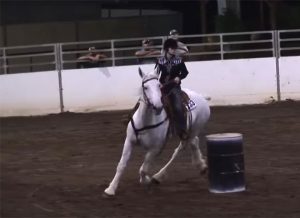 Featured Video: Barrel Racing Draft Horses