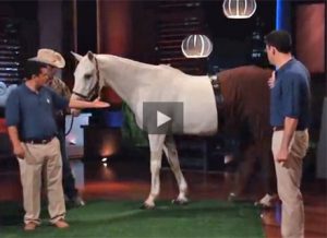 Featured Video: Horse Pants