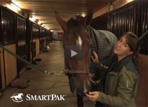 Featured Video: Stuff Riders Say (about Blankets)