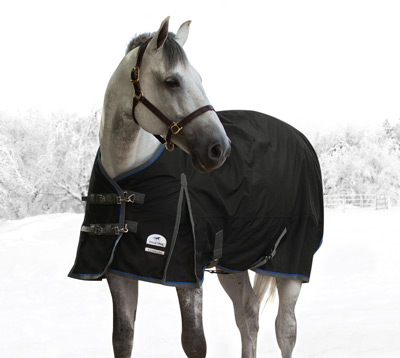 Field Guide to Horse Blanket Fit - Horse Illustrated
