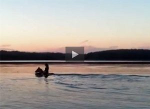 Featured Video: A Refreshing Swim