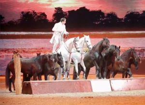 Featured Video: Highlights from Equitana
