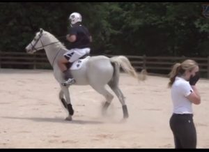 Featured Video: Equestrian and Football Collide