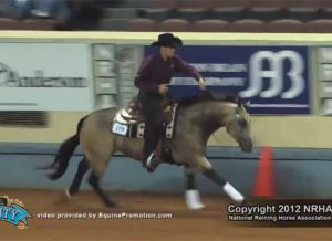 Featured Video: American Pharoah’s Sidekick