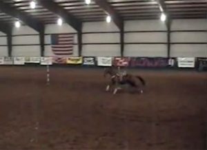 Featured Video: This Cow Horse Doesn’t Need a Rider