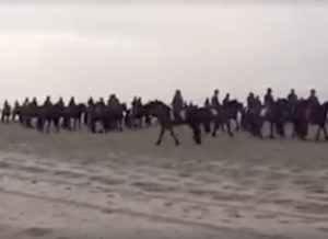 Featured Video: An Ocean of Friesians