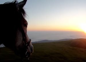 Featured Video: What a Wonderful World