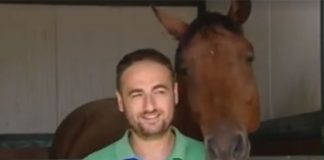 Featured Video: Do You Need to Breed? horse video