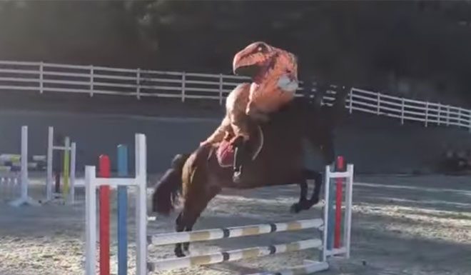 black horse jumping