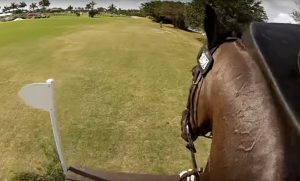 Featured Video: Eventing Showcase Helmet Cam