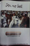 My image
