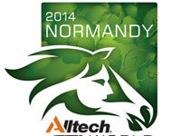 FEI world equestrian games logo