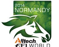 FEI world equestrian games logo