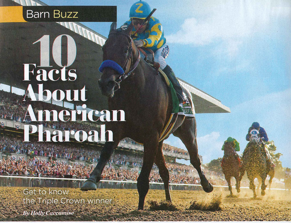 40 Years of Famous Horses