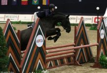 Madison Goetzmann riding San Remo VDL in the 2017 Maclay Finals