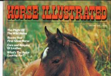 horse first cover