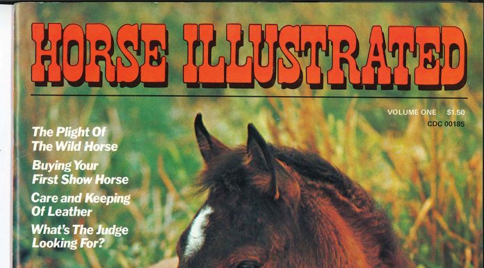 horse first cover