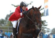Show Jumping Wraps Up In Brazil cara R horse
