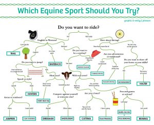 Chart: What Equestrian Sport Should You Try?