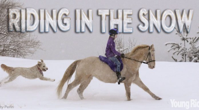 girl pony dog cantering snow