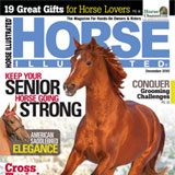 2010 Horse Illustrated Grooming Challenge Winner horse illustrated magazine
