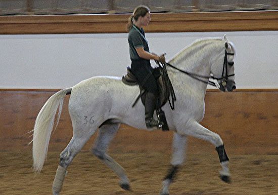 a girl ride on white horse