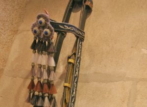 Andalusian and Lusitano Horses of Spain and Portugal