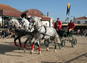 Andalusian and Lusitano Horses of Spain and Portugal