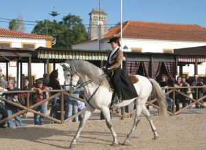 Andalusian and Lusitano Horses of Spain and Portugal